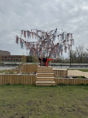Waterfront Wellness: Energize & Relax with Yoga at Lachine Canal